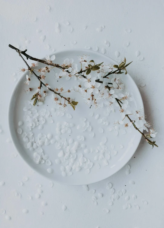 a white plate sitting on top of a white table, inspired by Kim Tschang Yeul, trending on unsplash, cherry blossom petals, covered in salt, branches, high quality product image”