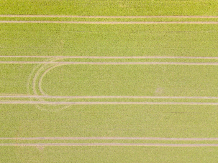 a bird's eye view of a green field, by Julian Allen, pexels contest winner, land art, white tracing, evenly lit, seen from a distance, wheat field