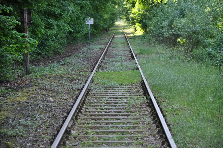 a train track running through a lush green forest, an album cover, inspired by Otakar Sedloň, flickr, closeup photo, very sad, tourist photo, thumbnail