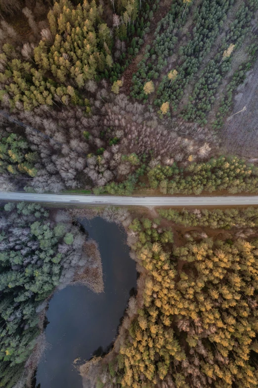 a aerial view of a road and trees