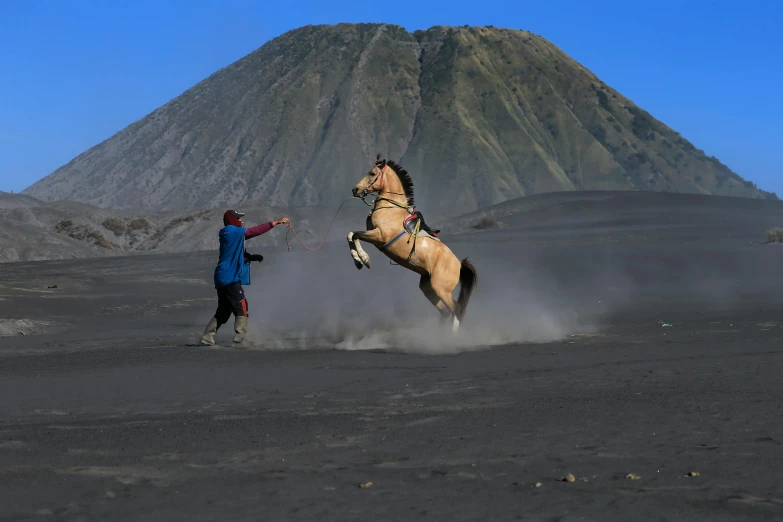 two people are standing in a field watching a horse stand up