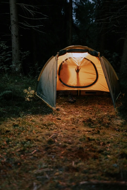 a tent sitting in the middle of a forest, illuminated features, brown, circular, analogue