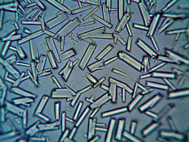 a close up view of the inside of a microscope, a microscopic photo, by Konrad Krzyżanowski, pexels, crystal cubism, jackstraws, fibres trial on the floor, clear detailed view, group photo