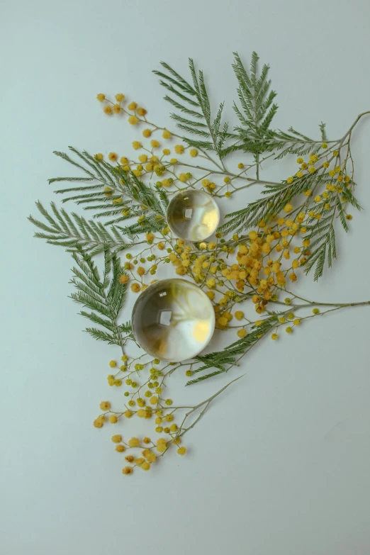 two blown glass ornaments are on the stems of a tree