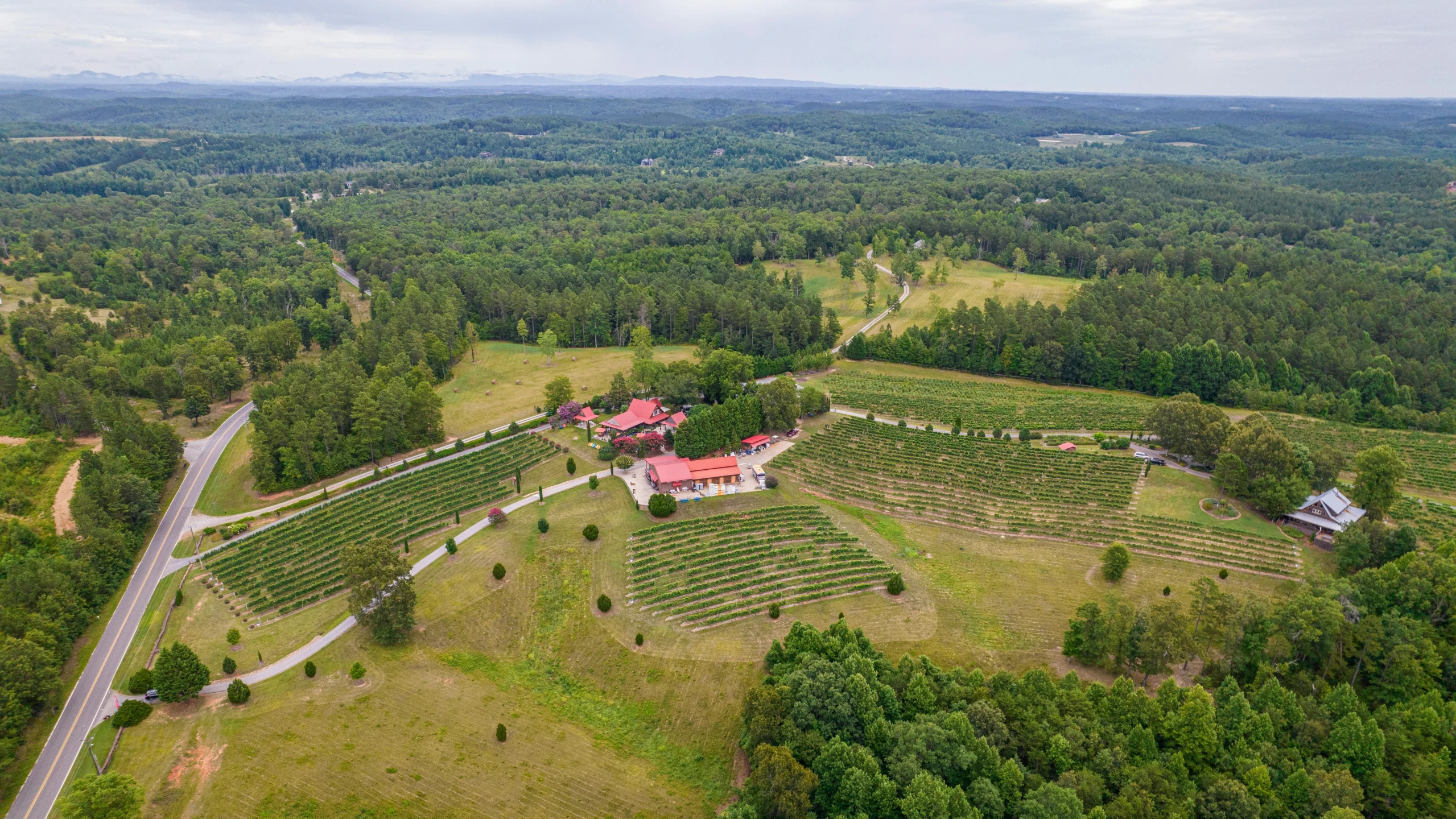 an aerial view of a farm with a winding road running through the middle