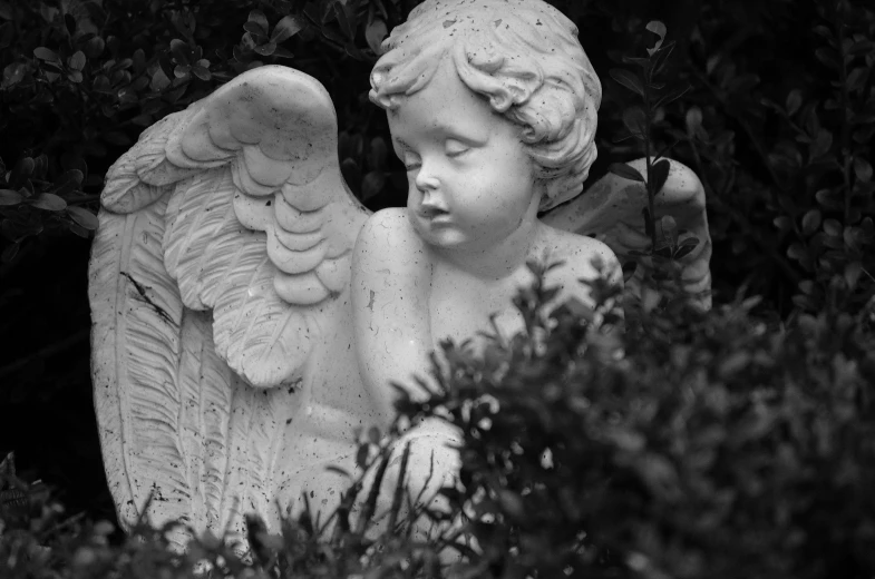 a black and white photo of a statue of an angel, by Phyllis Ginger, pixabay contest winner, amongst foliage, cute photo, innocent look, high details photo