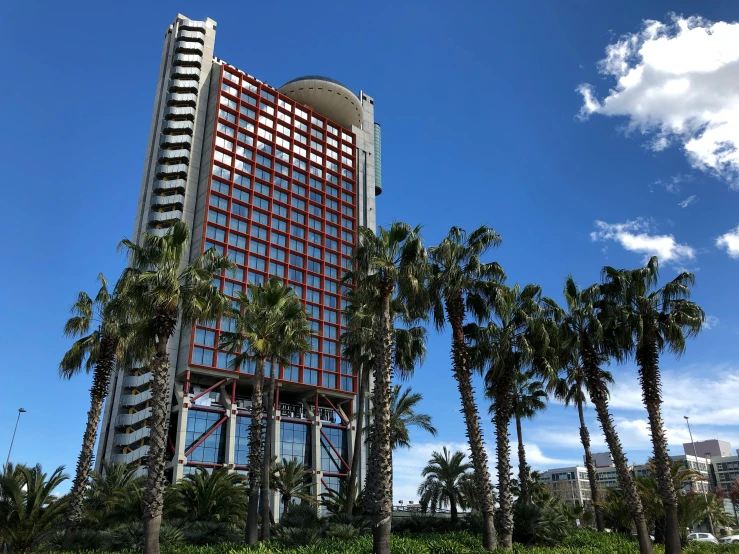 there is a tall building made from windows with palm trees in front