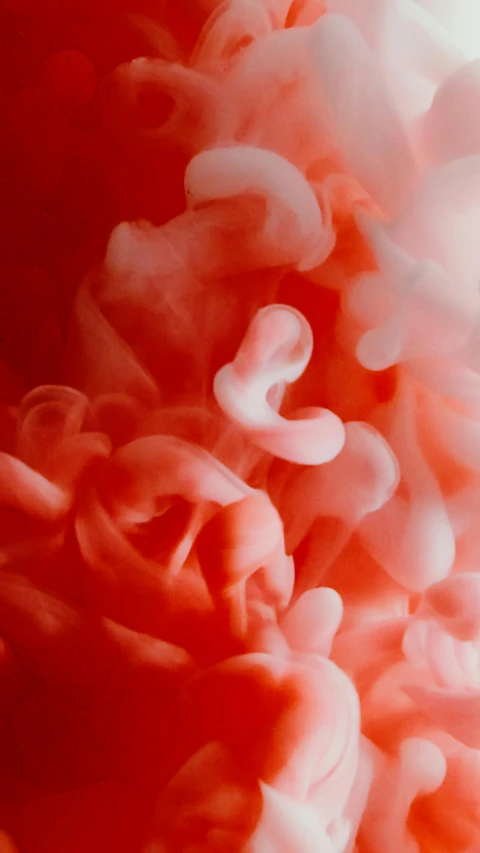 a close up of a red and white substance, an album cover, inspired by Alberto Seveso, pexels, lyrical abstraction, pink smoke, jelly fishes, peony, peach