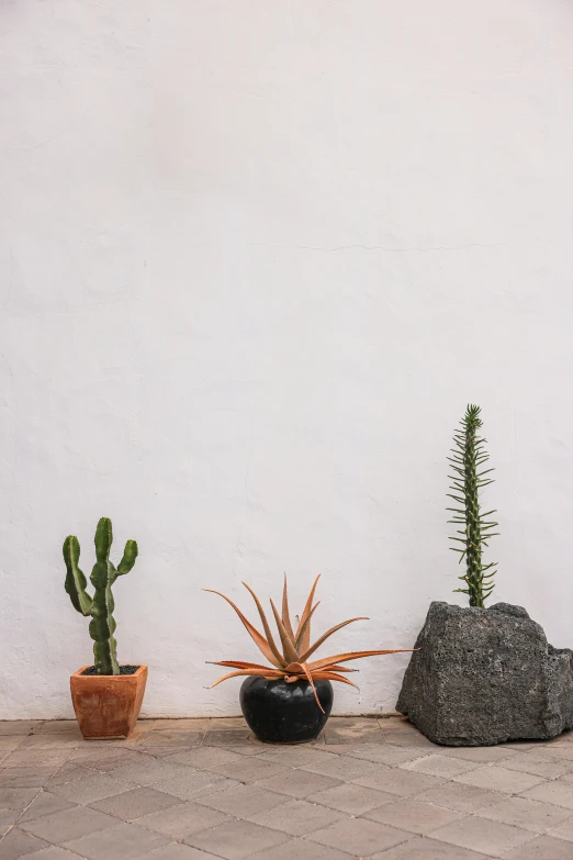 three small planters sitting side by side on a tile floor