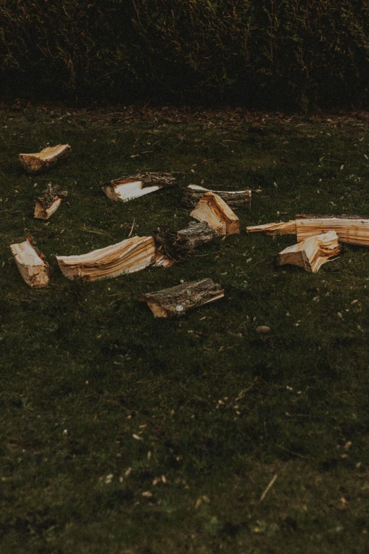 a pile of books sitting on top of a lush green field, an album cover, by Attila Meszlenyi, unsplash, land art, holding wood saw, couches melting, bare bark, ((trees))
