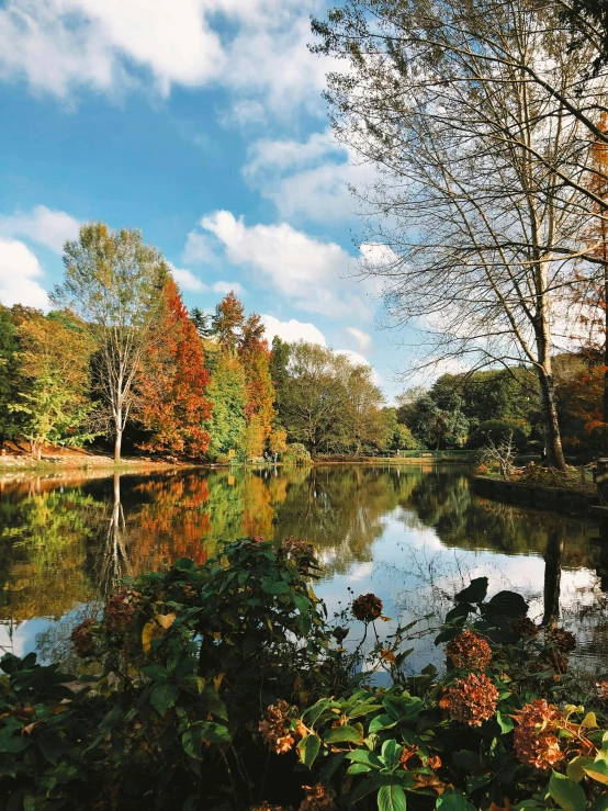 a large body of water surrounded by trees, autum garden, instagram picture, slide show, germany. wide shot