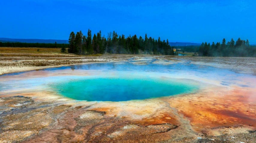 blue and orange water near trees in the wilderness