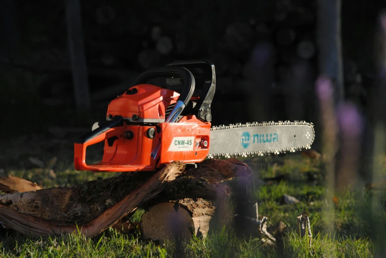 a chainsaw sitting on top of a tree stump, by Julian Allen, press shot, rectangle, lightweight, foam