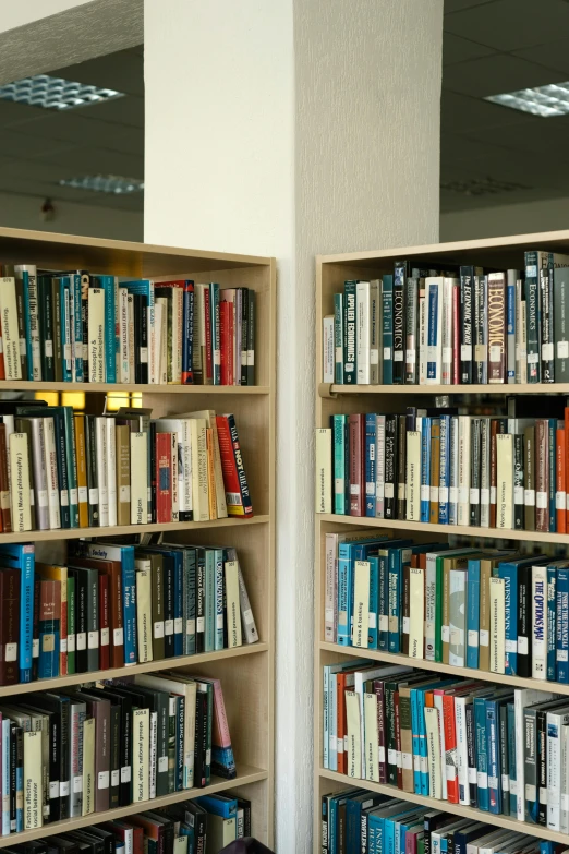 a bookshelf filled with lots of books in a library, flickr, russian academic, research complex, ground level shot, wim crouwel