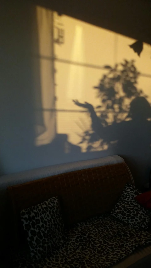 the sun is shining on a living room sofa