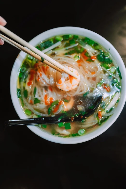 a person holding chopsticks over a bowl of soup, inspired by Tan Ting-pho, shrimp, high-quality photo, square, green