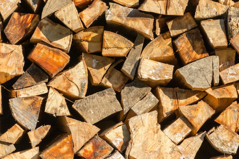 a pile of wood stacked on top of each other, trending on pexels, woodfired, profile image, thumbnail, frontal shot