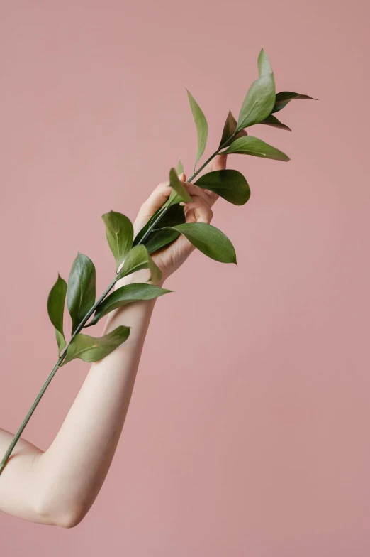 a woman holding a green plant in her hand, by Carey Morris, trending on unsplash, aestheticism, minimal pink palette, has a laurel wreath, beauty campaign, arms stretched out