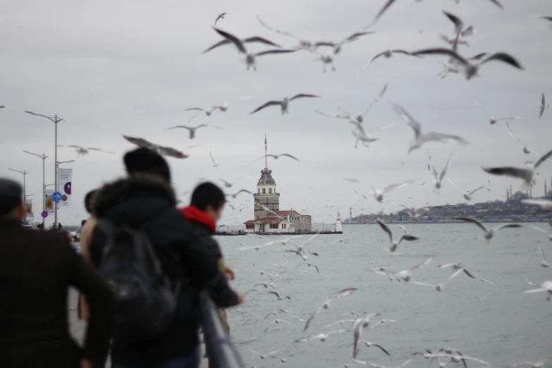 a group of people standing next to a body of water, by Ibrahim Kodra, pexels contest winner, hurufiyya, flying birds in distance, the fall of constantinople, grey, holiday