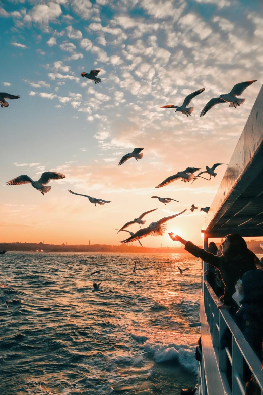 a group of people standing on top of a boat, pexels contest winner, happening, birds flying in the sunlight, istanbul, two hands reaching for a fish, sunset photo