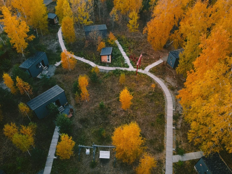 an aerial view of a small village in the woods, pexels contest winner, huts, grassy autumn park outdoor, alaska, pathway