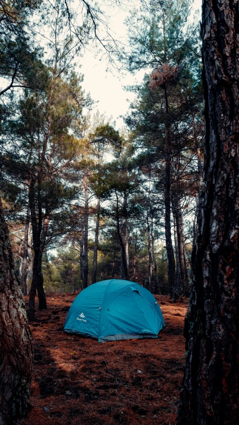 a blue tent sitting in the middle of a forest, thumbnail, cinematic shot ar 9:16 -n 6 -g, arrendajo in avila pinewood, explorer