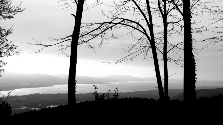 a black and white photo of some trees, a black and white photo, pexels, romanticism, lake in the distance, 'silent hill ', silhouette :7, washington
