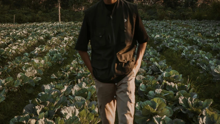 a man standing in a field of cabbage, unsplash, renaissance, wearing cargo pants, avatar image, [ cinematic, thawan duchanee