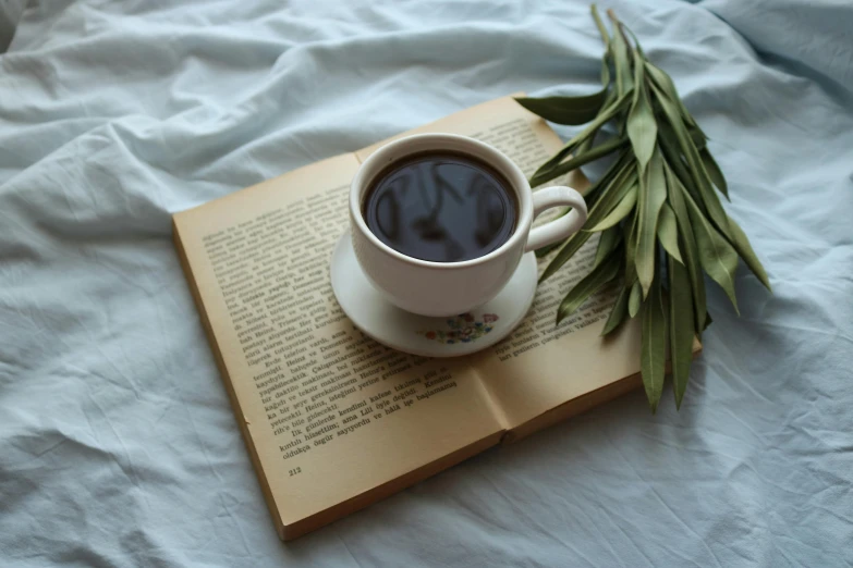 a cup of coffee sitting on top of an open book, a photo, by Lucia Peka, pexels contest winner, romanticism, eucalyptus, 15081959 21121991 01012000 4k, asleep, soft skin