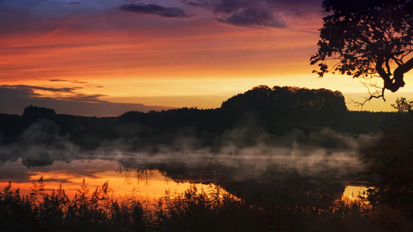 a sunset over a body of water with a tree in the foreground, by Sebastian Spreng, pexels contest winner, romanticism, light orange mist, brockholes, sunset panorama, summer night