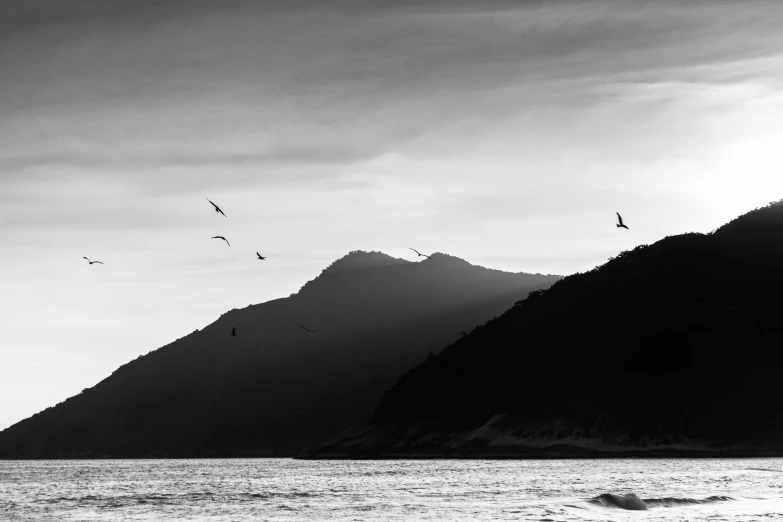 a group of birds flying over a body of water, a black and white photo, by Tobias Stimmer, pexels contest winner, mountains and ocean, hong kong, :: morning, subtle shadows