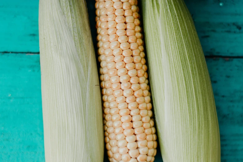 some sweet corn is laying on the blue counter