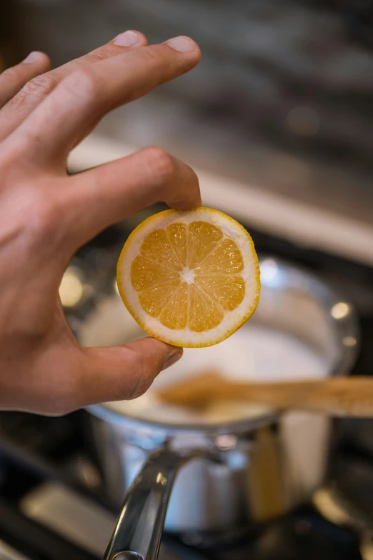 a person holding a slice of lemon over a pot of milk, botanicals, smooth round shapes, citrinitas, cooked