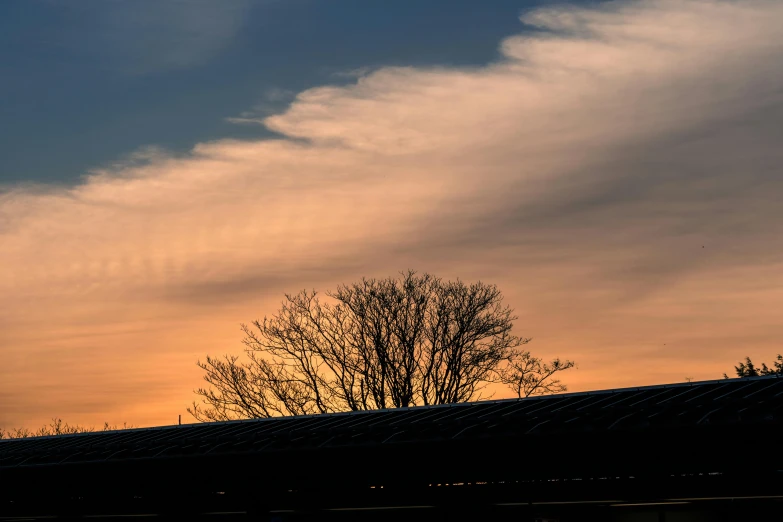 a man riding a snowboard on top of a snow covered slope, by Carey Morris, pexels contest winner, the bodhi tree at sunset, bonsai tree on roof, layered stratocumulus clouds, silhouette :7