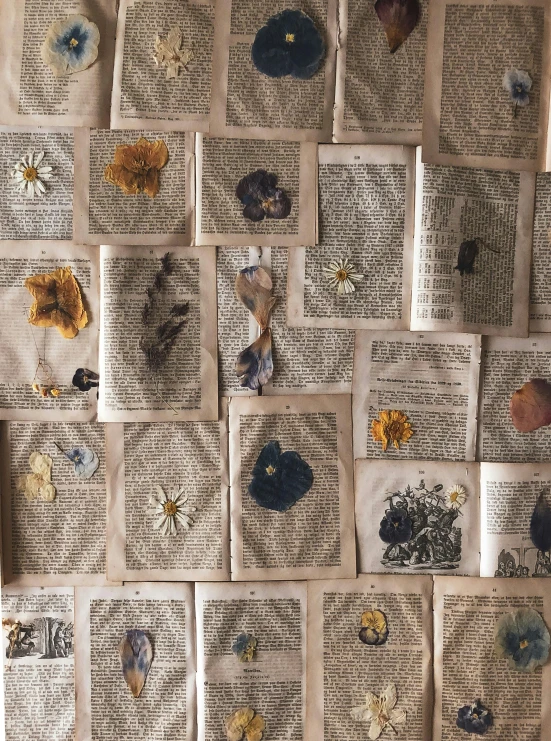 a wall covered in lots of different types of flowers, an album cover, by Rebecca Horn, visual art, weathered pages, brown, botanical herbarium paper, pinterest wallpaper