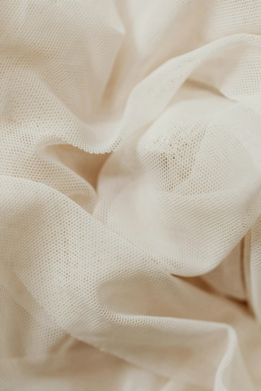 a close up shot of a white fabric, by Daniel Taylor, renaissance, netting, beige mist, soft volume absorbation, mesh roots