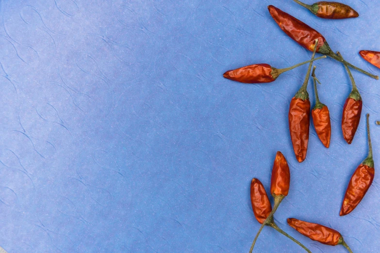 a bunch of red peppers sitting on top of a blue surface, by Carey Morris, pexels contest winner, dried flower, background image, chili, 15081959 21121991 01012000 4k