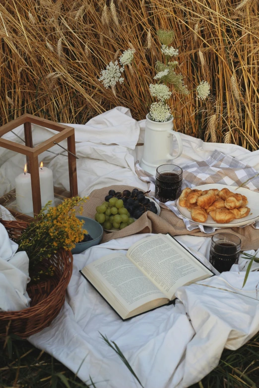 a picnic table with an open book and snacks