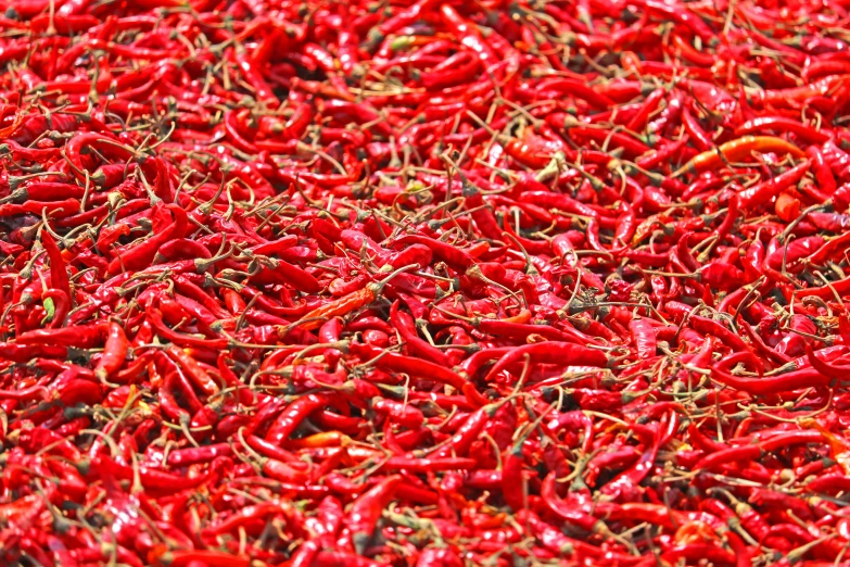 a pile of red chili sitting on top of a table, avatar image, vibrant hues, hindu, on a sunny day