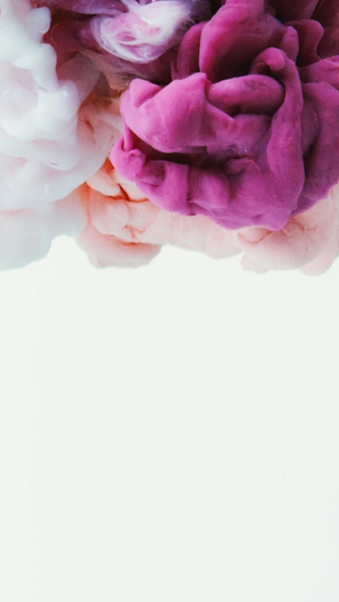 pink and white flowers against a white background, inspired by Alberto Seveso, trending on pexels, color field, cotton clouds, high quality photo, made of fabric, multi color smoke