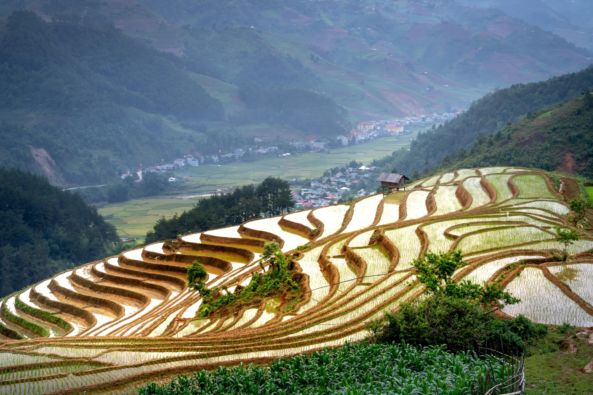 a mountain with many terraces in the landscape