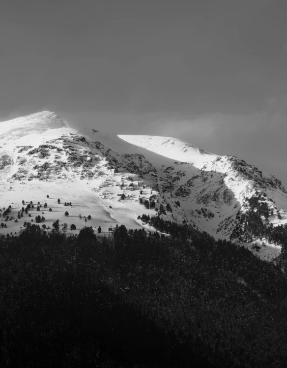 a snowy mountain covered with trees under a cloudy sky