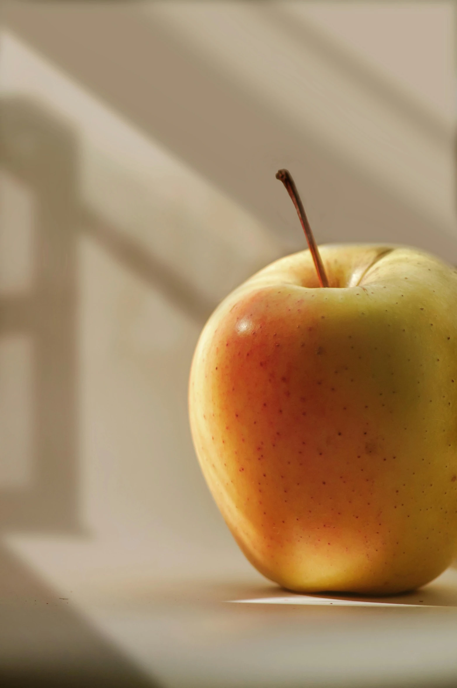 a red and yellow apple sitting on top of a counter, a picture, by Leonard Appelbee, promo image, sunlit, vanilla, low dof