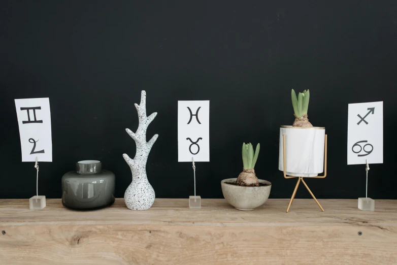 a row of potted plants sitting on top of a wooden table, an abstract sculpture, inspired by Willem Claeszoon Heda, trending on pexels, taurus zodiac sign symbol, white horns queen demon, textured base ; product photos, pisces