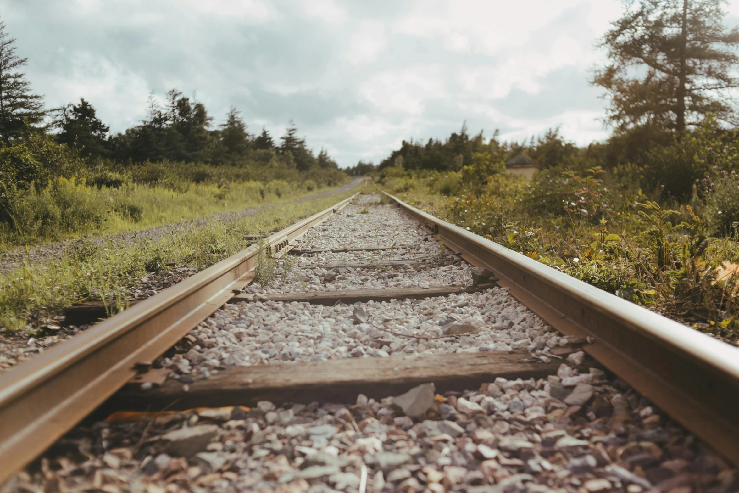 railroad track with rocks, gravel and pine trees