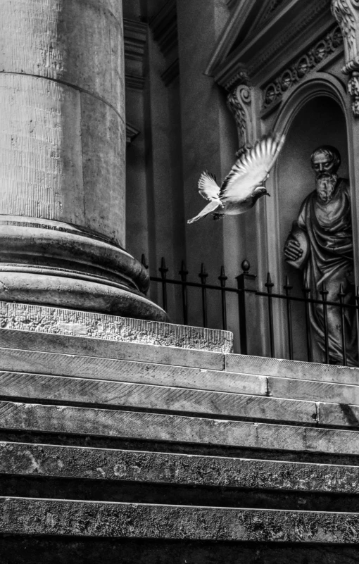 a black and white photo of a pigeon flying in front of a building, a black and white photo, inspired by Cagnaccio di San Pietro, pexels contest winner, renaissance, marble sculptures, the librarian, scene from church, diptych