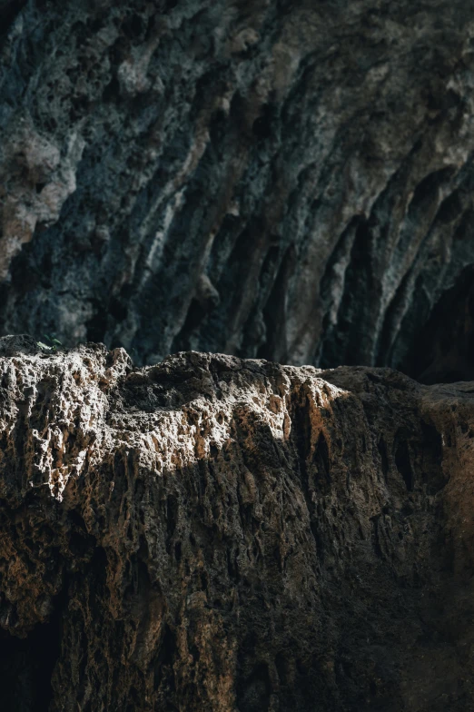 a lone bird is on the rocky cliff