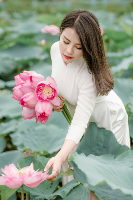 a woman holding a bunch of pink flowers in a field, inspired by Cui Bai, standing gracefully upon a lotus, product shot, white sleeves, picking flowers