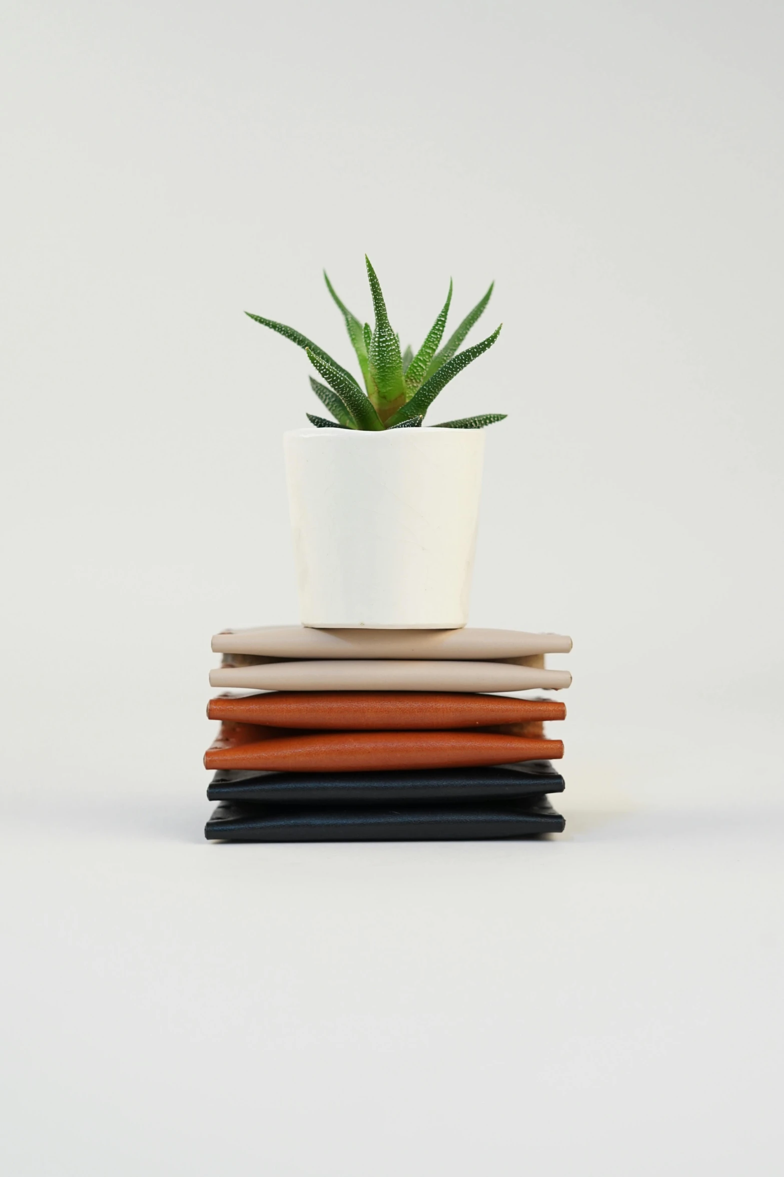 a potted plant sitting on top of a stack of four leather coasters, by Constant, pouches, 6 colors, studio shot, square