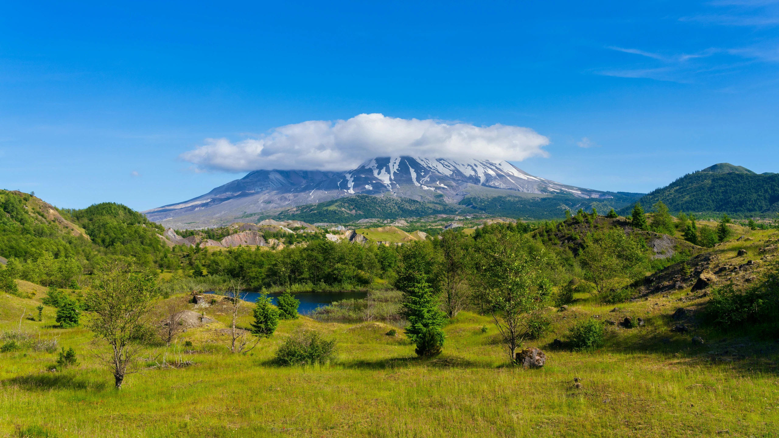 a mountain is in the distance from a grassy meadow